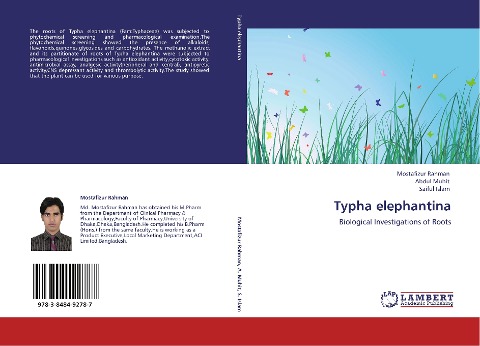 Typha elephantina: Biological Investigations of Roots