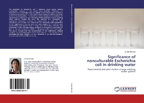 Significance of nonculturable Escherichia coli in drinking water: Experimental and pilot studies in large drinking water systems
