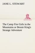 The Camp Fire Girls in the Mountains or Bessie Kings Strange Adventure