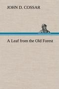 A Leaf from the Old Forest