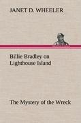 Billie Bradley on Lighthouse Island The Mystery of the Wreck