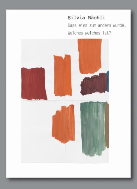 Silvia Bächli: Dass eins zum andern wurde. Welches welches ist?: Kat. Kunst Museum Winterthur