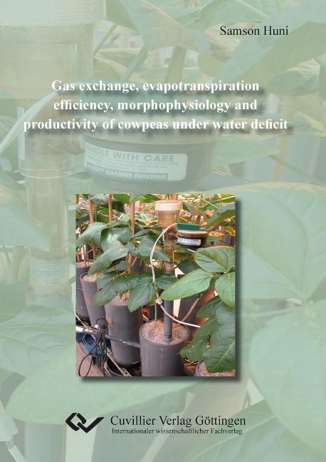 Gas exchange, evapotranspiration efficiency, morphophysiology and productivity of cowpeas under water deficit