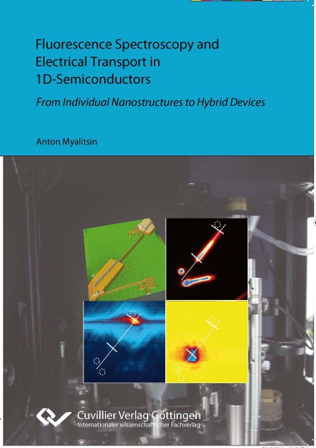 Fluorescence Spectroscopy and Electrical Transport in 1D-Semiconductors. From Individual Nanostructures to Hybrid Devices