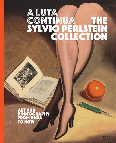 A Luta Continua The Sylvio Perlstein Collection : Art and Photography from Dada to Now