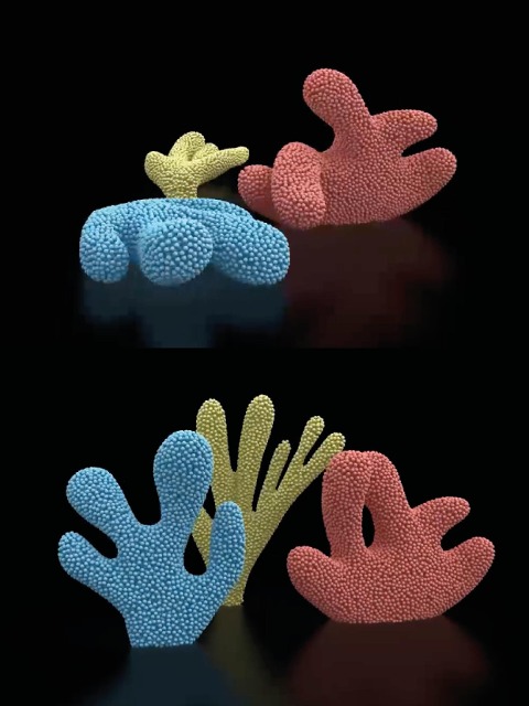 After Nature.: Cacti, Corals and Leaves