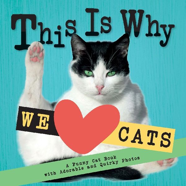 This Is Why We Love Cats: A Funny Cat Book with Adorable and Quirky Photos ¿Perfect Gift for Cat Lovers