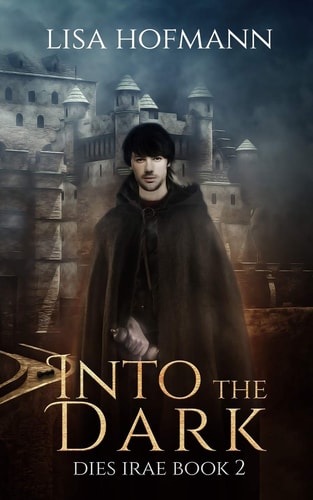 Into the Dark A Medieval Fantasy