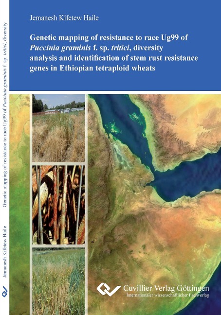 Genetic mapping of resistance to race Ug99 of Puccinia graminis f. sp. tritici, diversity analysis and identification of stem rust resistance genes in Ethiopian tetraploid wheats