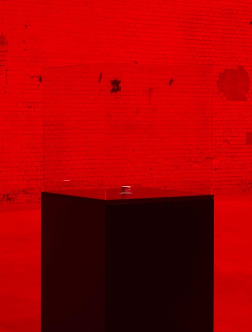 The End of the World: Alfredo Jaar