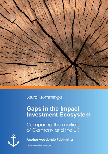 Gaps in the Impact Investment Ecosystem: Comparing the markets of Germany and the UK