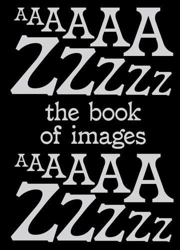 The Book of Images An Illustrated Dictionary of Visual Experiences