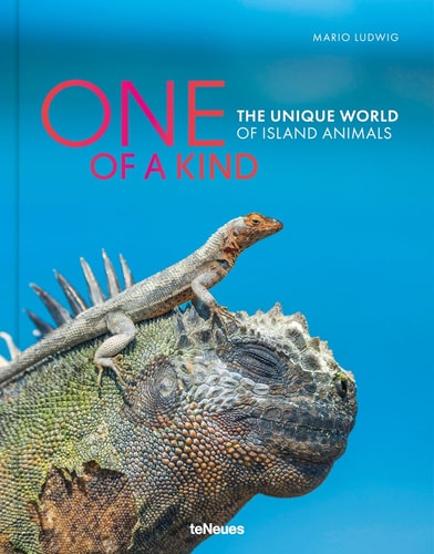 One of a Kind The Unique World of Island Animals