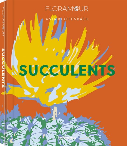 Floramour Succulents / Sukkulenten