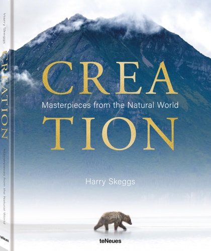 Creation Masterpieces from the Natural World
