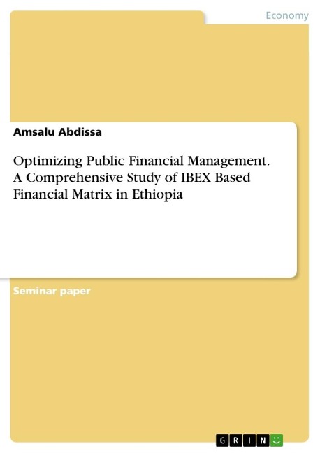 Optimizing Public Financial Management. A Comprehensive Study of IBEX Based Financial Matrix in Ethiopia
