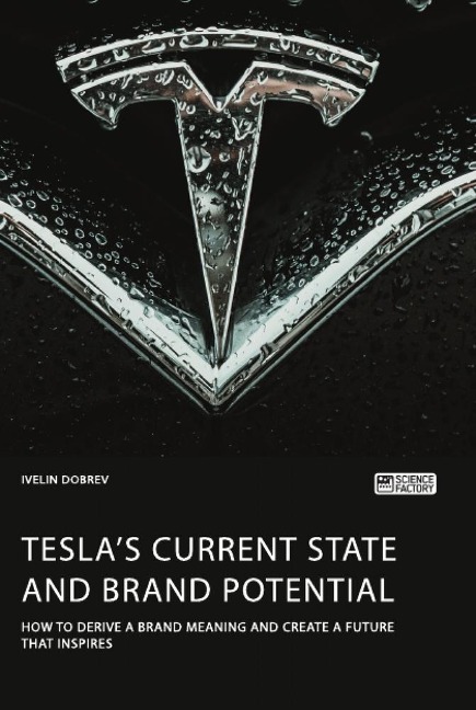 Teslas current state and brand potential. How to derive a brand meaning and create a future that inspires
