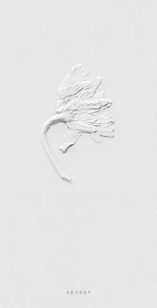 Sarah Schorr: Ephemeral Field Journal. Climate and Love in Claude Monets Garden