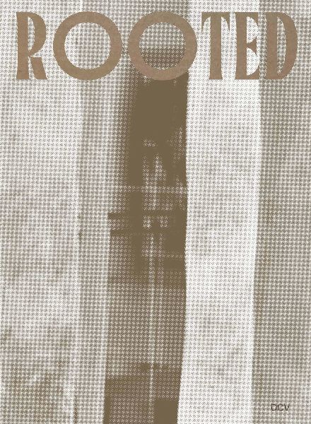 Rooted. Brasilianische Künstlerinnen / Female Brazilian Artists