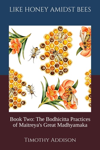 Like Honey, Amongst Bees: Book Two: The Bodhicitta Practices of Maitreya's Great Madhyamaka
