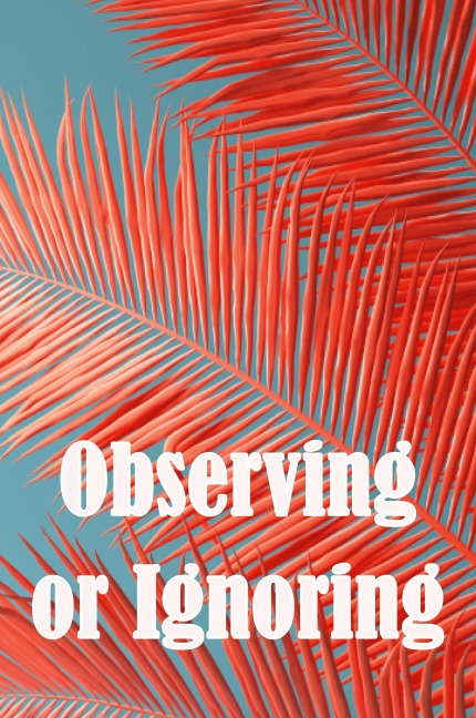 Observing or Ignoring: Casey John Garnett