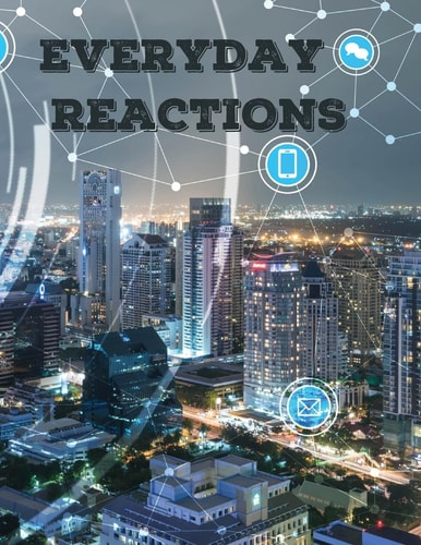 Everyday Reactions : Unveiling the Science Behind Burning Bright, Reactions All Around, and Digesting Food