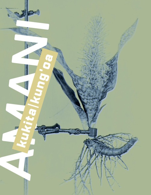 Amani
