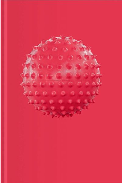 Sophie Hirsch: Childs Play