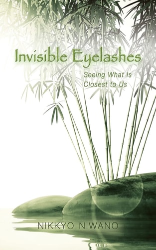 Invisible Eyelashes; Seeing What Is Closest to Us 見えないまつげ