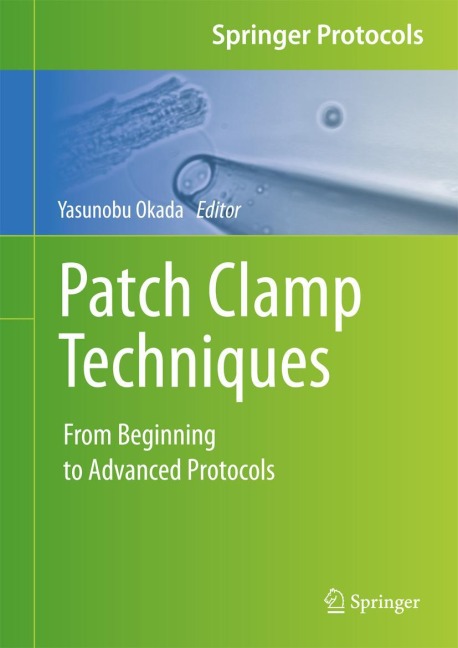 Patch Clamp Techniques: From Beginning to Advanced Protocols