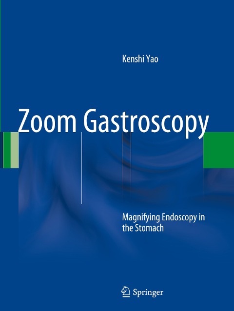 Zoom Gastroscopy: Magnifying Endoscopy in the Stomach