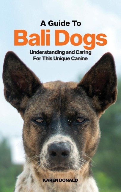 A Guide to Bali Dogs: Understanding and Caring  For This Unique Canine