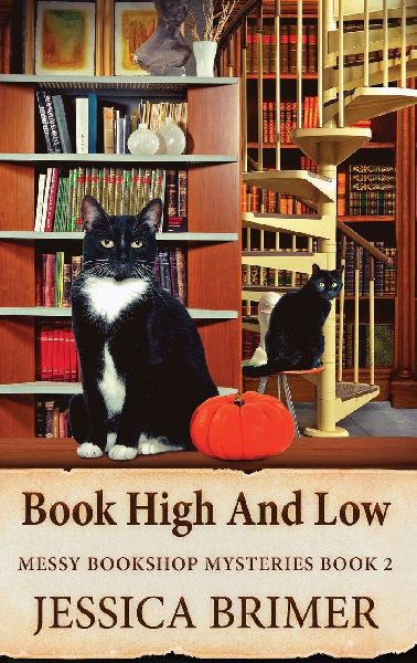 Book High And Low