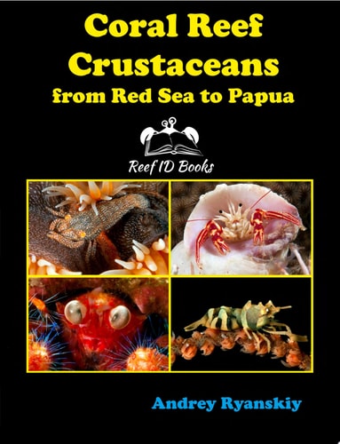 Coral Reef Crustaceans from Red Sea to Papua