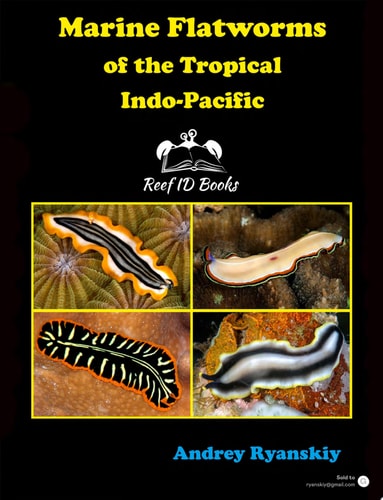 Marine Flatworms of the Tropical Indo-Pacific
