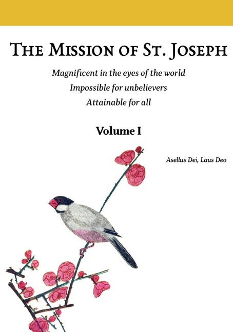 The Mission of St. Joseph. Volume I (color version): Magnificent in the eyes of the world. Impossible for unbelievers. Attainable for all