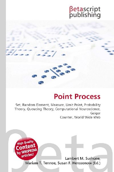 Point Process:         Set, Random Element, Measure, Limit Point, Probability Theory, Queueing        Theory, Computational Neuroscience, Geiger Counter, World Wide Web