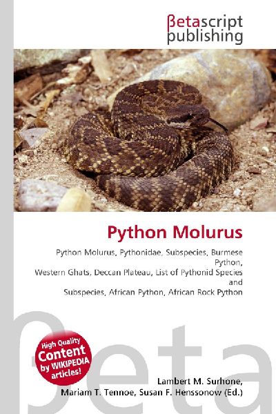 Python Molurus:         Python Molurus, Pythonidae, Subspecies, Burmese Python, Western Ghats,        Deccan Plateau, List of Pythonid Species and Subspecies, African Python,        African Rock Python