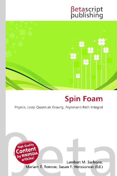 Spin Foam: Physics, Loop Quantum Gravity, Feynmans Path Integral
