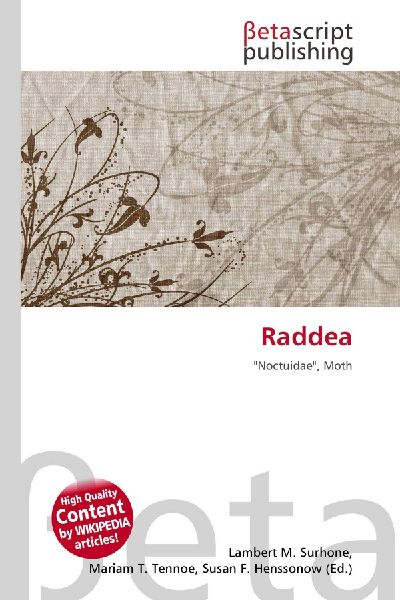 Raddea: Noctuidae, Moth