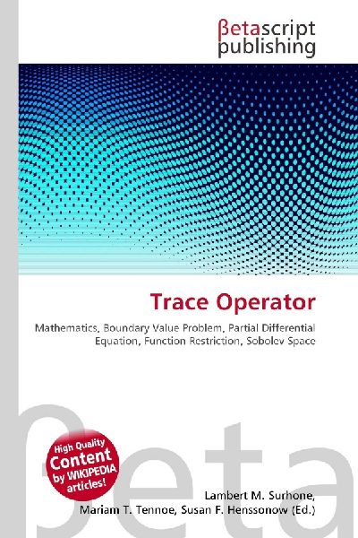 Trace Operator:         Mathematics, Boundary Value Problem, Partial Differential Equation,        Function Restriction, Sobolev Space