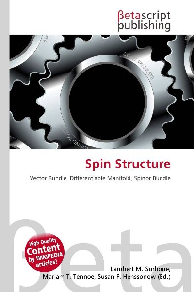 Spin Structure: Vector Bundle, Differentiable Manifold, Spinor Bundle