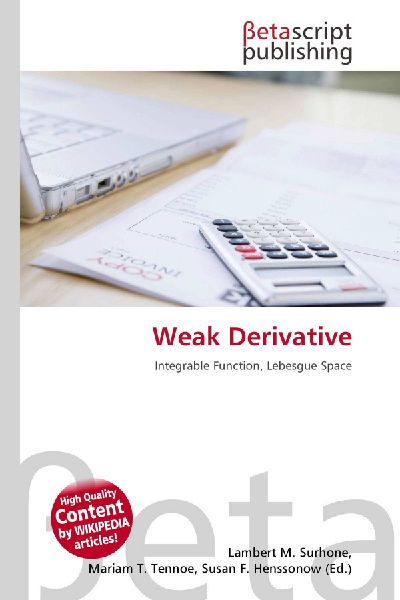 Weak Derivative: Integrable Function, Lebesgue Space