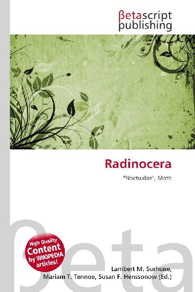 Radinocera: Noctuidae, Moth