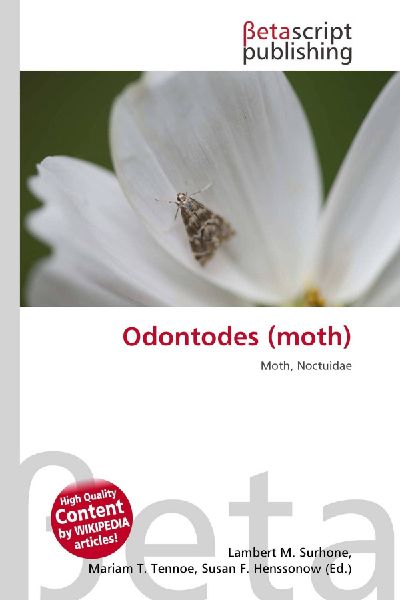 Odontodes (moth): Moth, Noctuidae