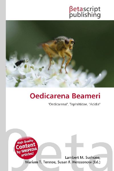 Oedicarena Beameri: Oedicarena, Tephritidae, Acidia