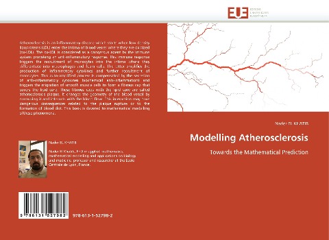 Modelling Atherosclerosis: Towards the Mathematical Prediction