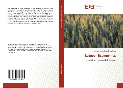 Labour Economics: An African Flavoured Notebook