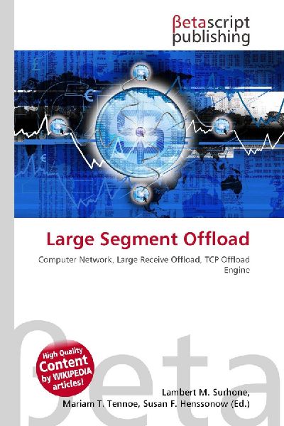 Large Segment Offload: Computer Network, Large Receive Offload, TCP Offload Engine