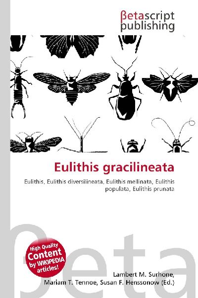 Eulithis gracilineata:         Eulithis, Eulithis diversilineata, Eulithis mellinata, Eulithis        populata, Eulithis prunata